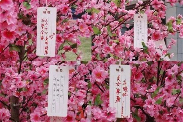 ​八字里的桃花神煞有哪些形式