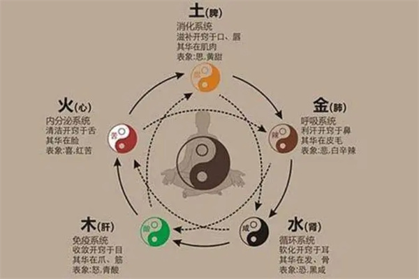 八字五行断健康技巧