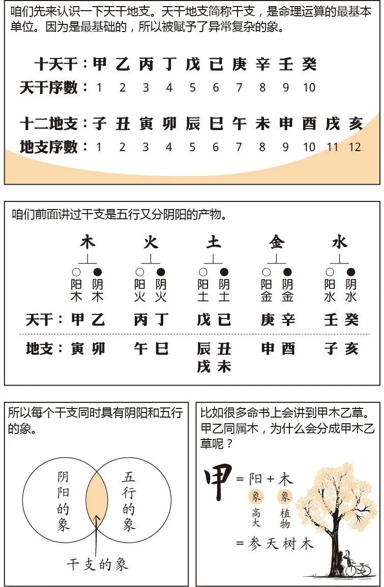 看漫画学八字——十天干