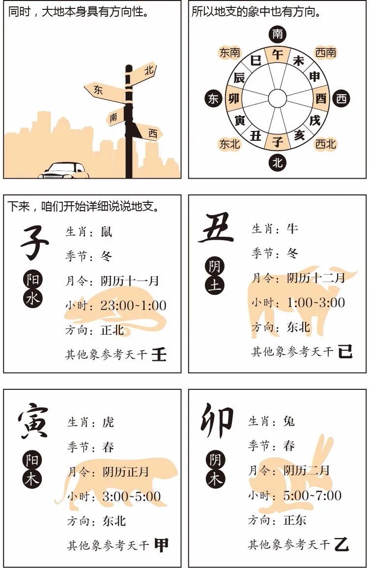 看漫画学八字——十二地支