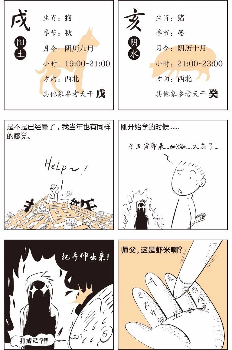 看漫画学八字——十二地支