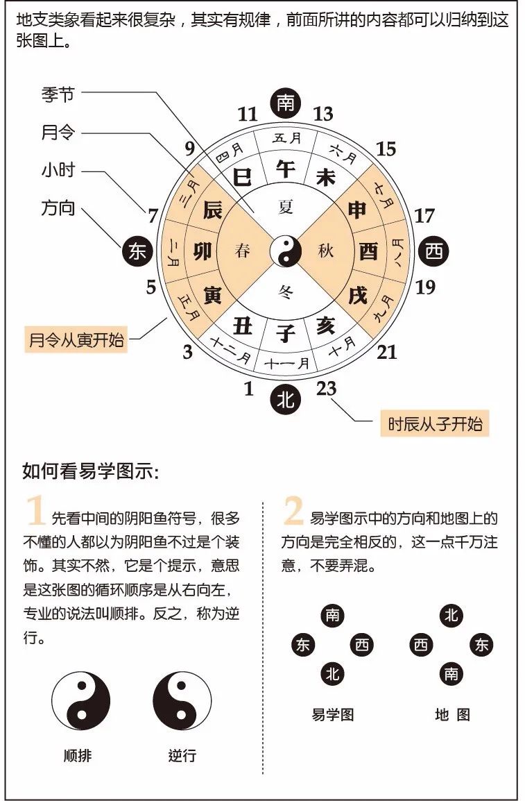 看漫画学八字——十二地支