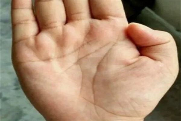 穷人的手掌特征