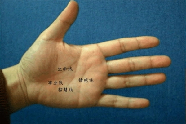 ​手型如何看人缘好坏