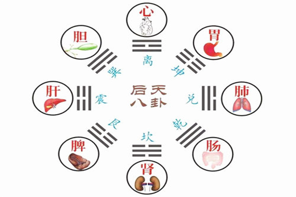 六爻八卦万物类象