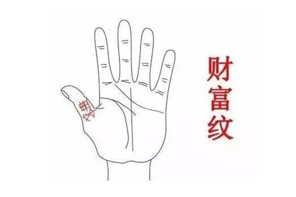 七种手相暗示着大富大贵