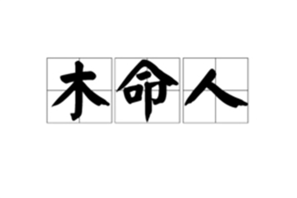 八字木型人运势如何