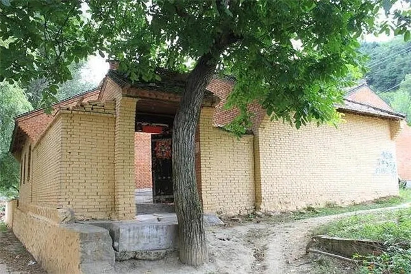 农村住宅种什么树好