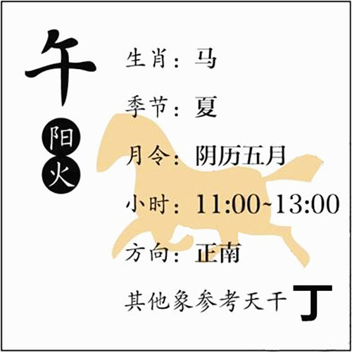 八字基础知识：十二地支、午火