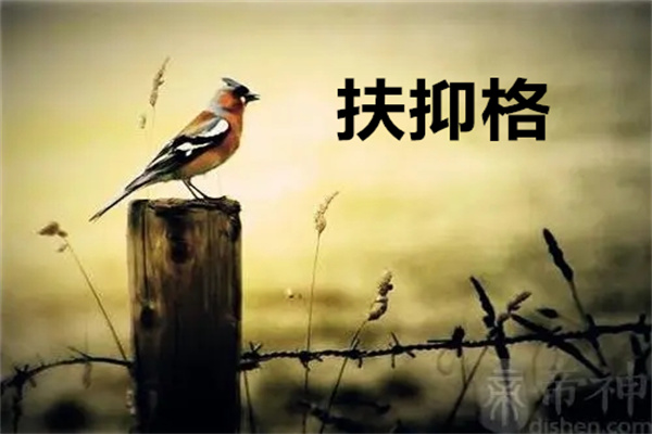 扶抑格是什么意思,扶抑格的命好吗