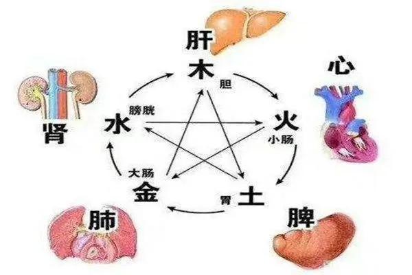 八字断疾病的思路与方法