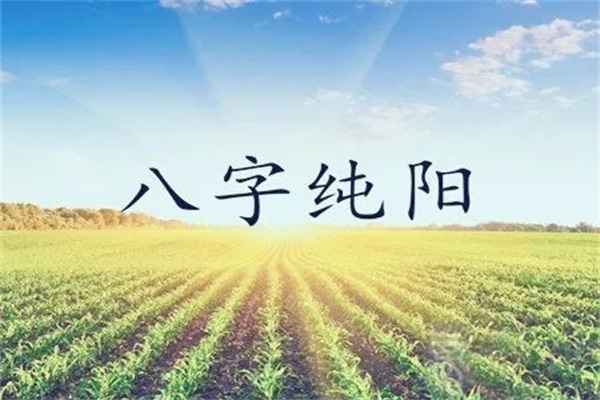 八字纯阳之人的命理特征，纯阳的八字是天命之人吗