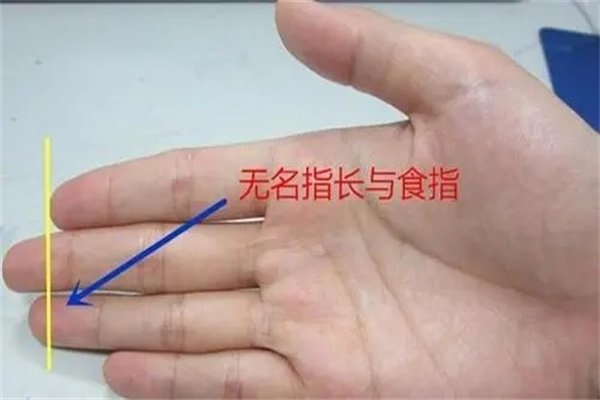 手指看命运,​手指长短看财富