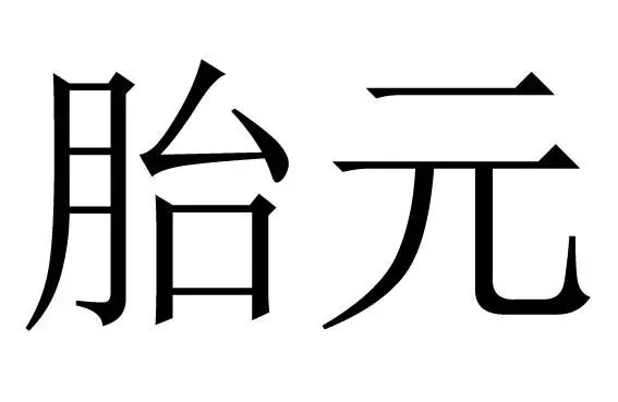 ​命理神煞胎元论命