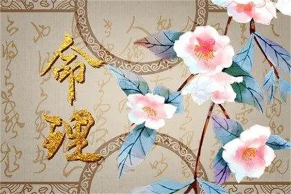 八字如何看自己属于哪种命