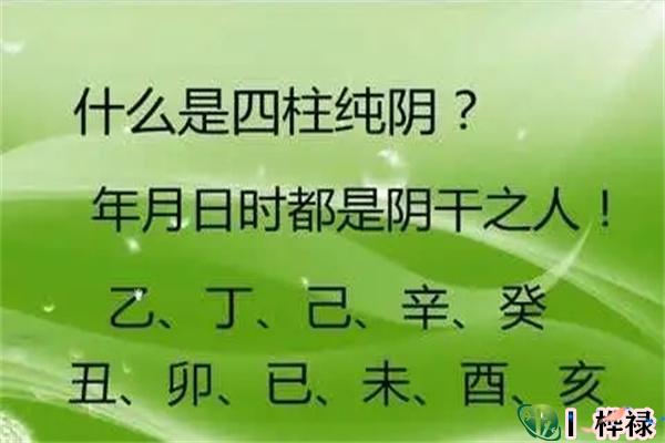 八字假纯阴是怎么回事