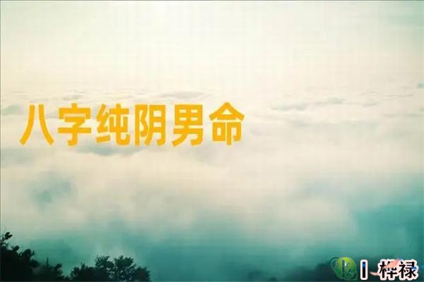 八字假纯阴是怎么回事