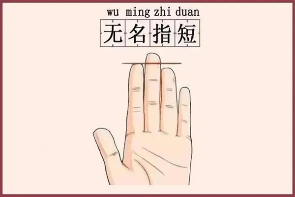 无名指的是婚姻状态
