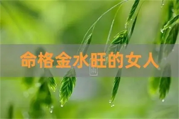 八字金水旺的人命理特征