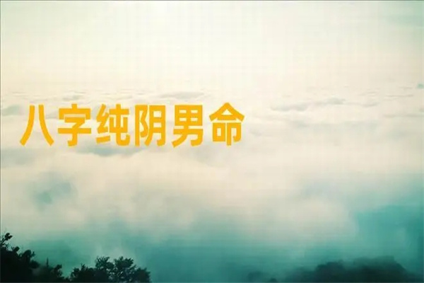 八字是纯阴命好吗