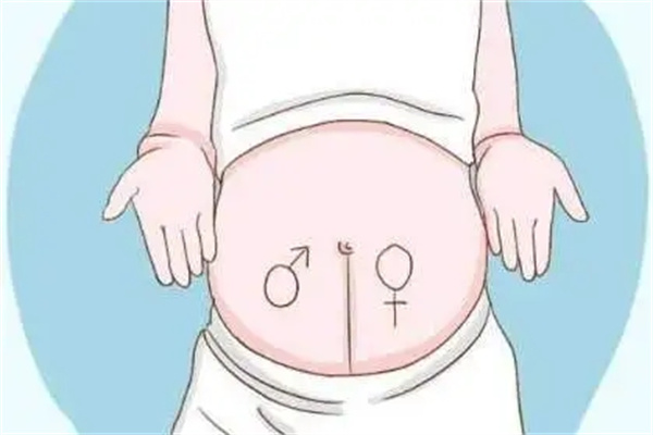 六卦之胎爻取法技巧（六爻占胎孕卦）