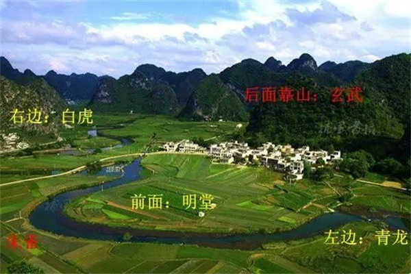 住宅旺福气的风水植物(住宅旺福气的风水植物有哪些)