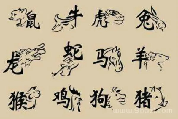 合婚年命生肖五行查询表(合婚年命生肖五行查询表图片)