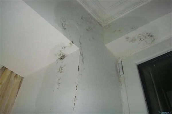 房屋漏水有何风水征兆(房屋漏水有何风水征兆吗)