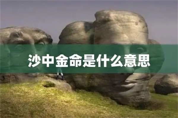 什么命旺沙中金男