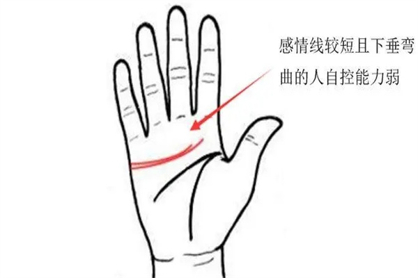 男人感情线怎么看