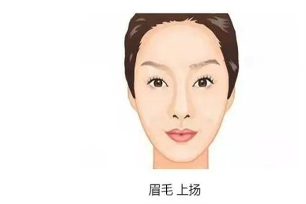 哪些相貌特征更易成为女强人（哪些相貌特征更易成为女强人呢）
