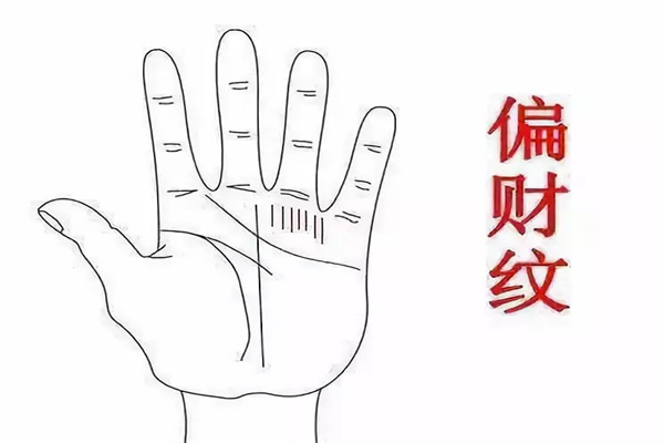 男性偏财旺手相
