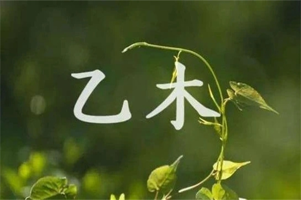 乙木生在哪个月最好（乙木生于哪个月好）
