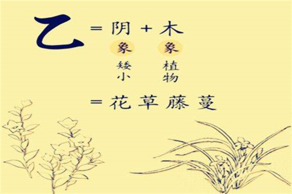 乙木生在哪个月最好(乙木生于哪个月好)