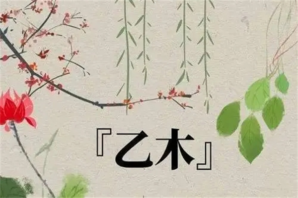 乙木生在哪个月最好(乙木生于哪个月好)