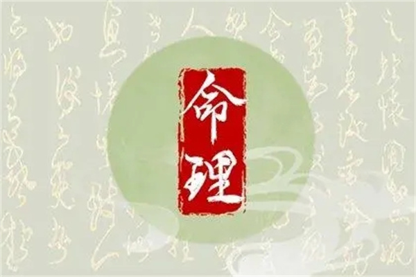 日坐食神的男命