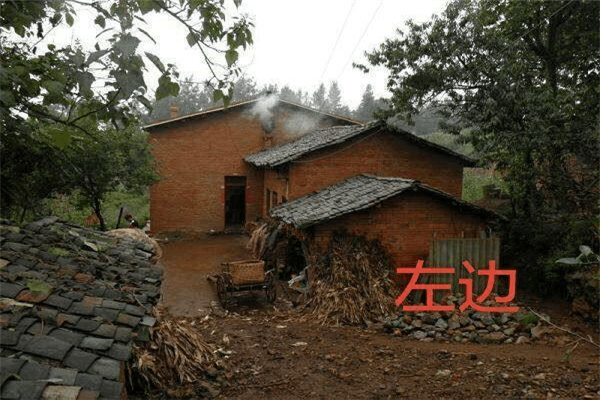 养猫能改变风水吗