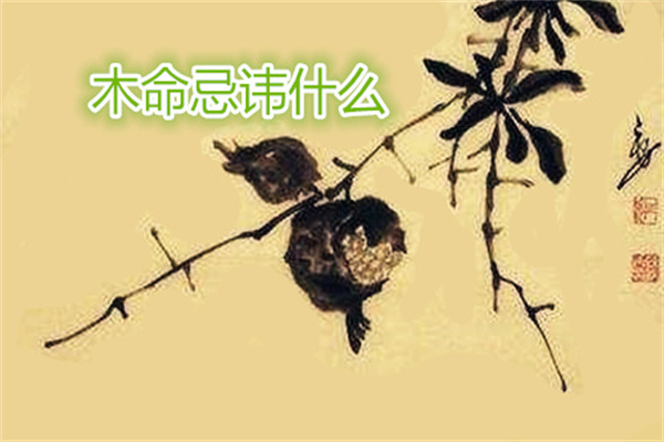 喜用神为木忌讳什么(喜用神为木忌讳什么颜色)