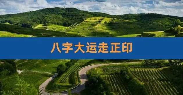 男命走正印运好不好