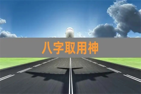 专旺的八字如何取用神（八字专旺格如何取用神）