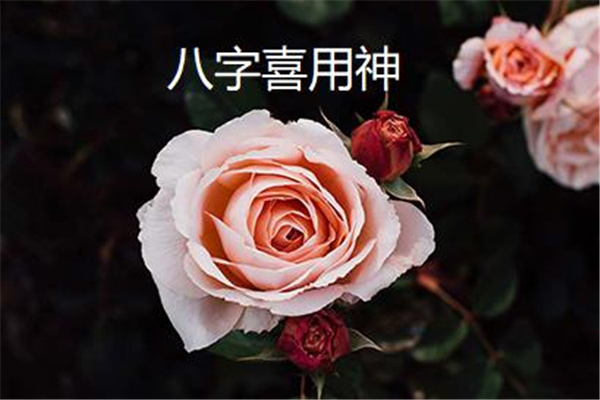 八字喜用神和五行喜忌(八字喜用神和五行喜忌的区别)