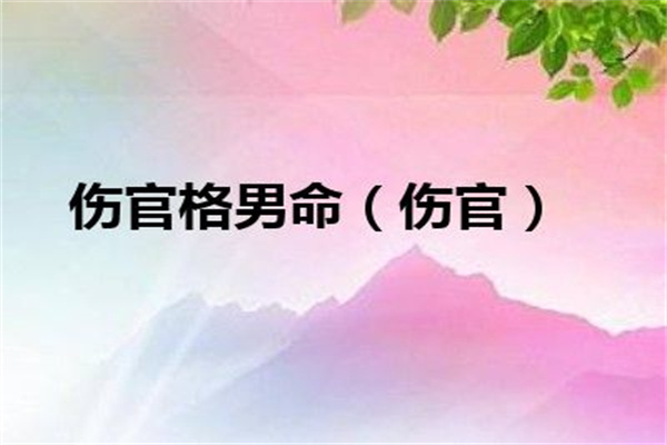 日坐伤官的男命（日坐伤官的男命夫妻宫）