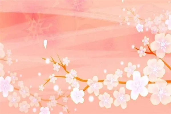 天喜桃花是什么意思(流年天喜桃花是什么意思)