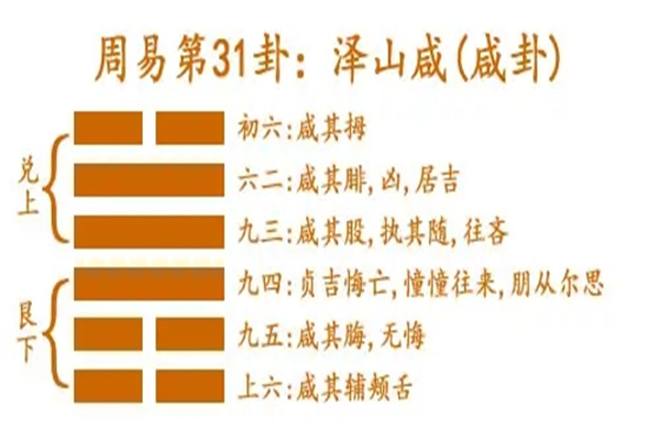 六十四卦:泽山咸卦详解(泽山咸卦详解)