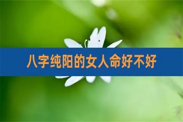 纯阳八字的女人命好不好(纯阳八字的女人的命运)