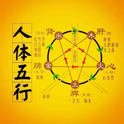 四柱配偶长相详批