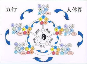 五行缺木如何化解（五行木弱的人怎么化解）