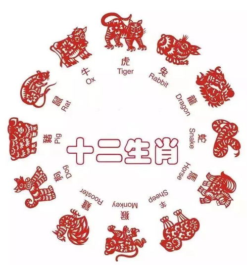 男人本命年结婚好不好