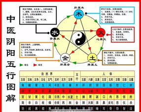 日干旺衰分析绝招