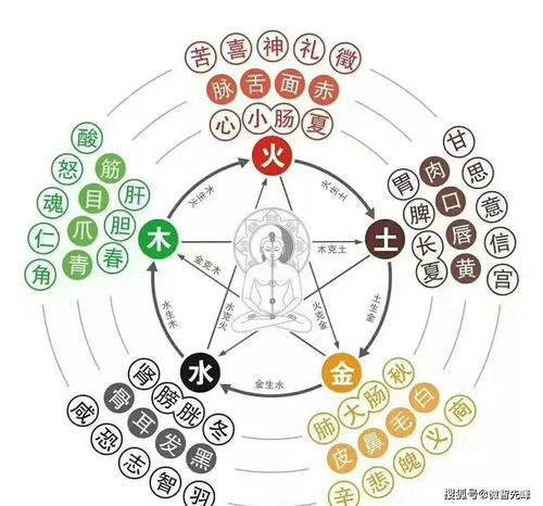 日干旺衰分析绝招